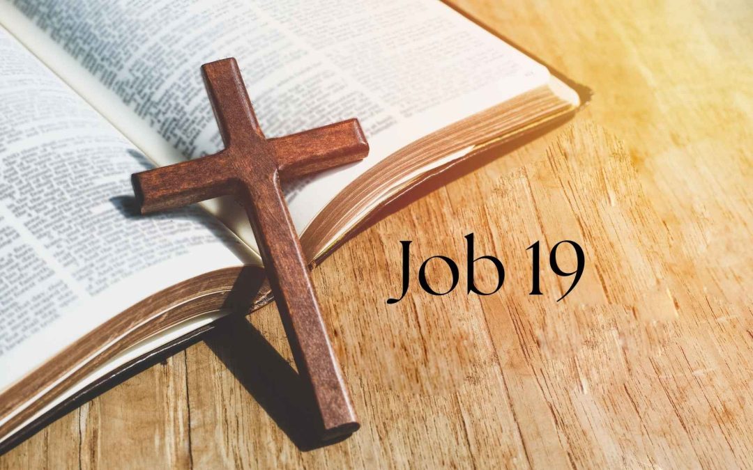 Job 19